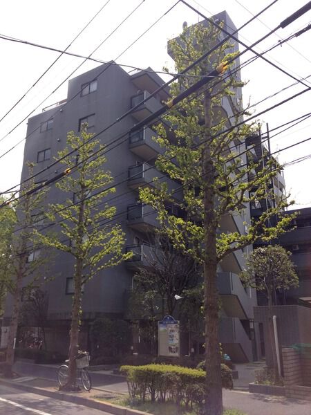 サンライフ新小岩親水公園