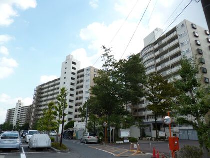 外観 外観