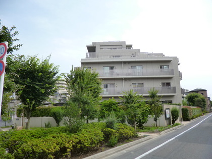 外観 外観