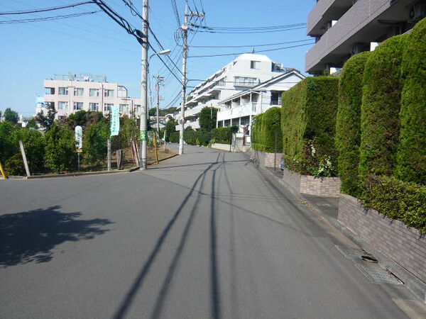 【ライオンズマンションつつじヶ丘第2】前面道路