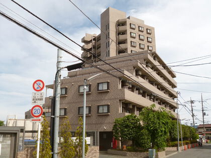 外観 外観