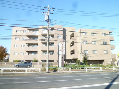 外観 外観