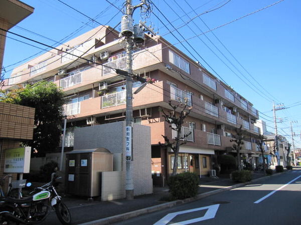 【シティコーポパルナス久米川】外観 【シティコーポパルナス久米川】外観