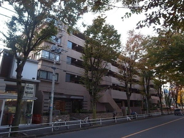 ハイコート花小金井