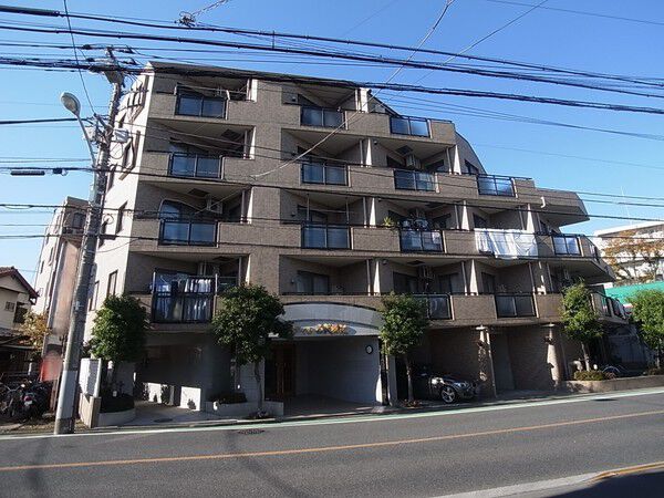 セザール西武柳沢