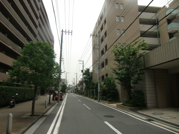 【ゼルクハウス】前面道路