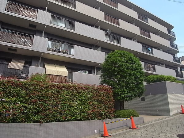 サンヴェール妙蓮寺 2枚目 サンヴェール妙蓮寺