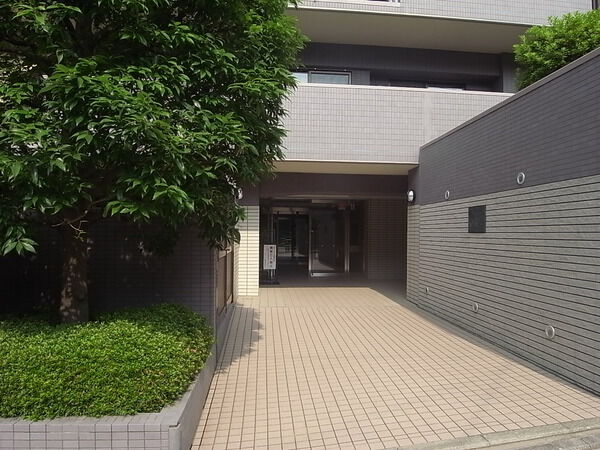 サンヴェール妙蓮寺 3枚目 サンヴェール妙蓮寺