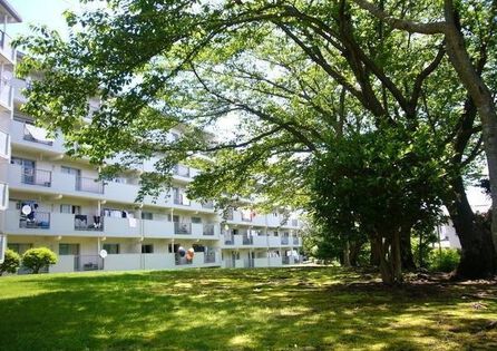 緑の多い閑静な住環境 緑の多い閑静な住環境