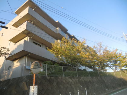 東建ニューハイツ緑園都市 3枚目 東建ニューハイツ緑園都市