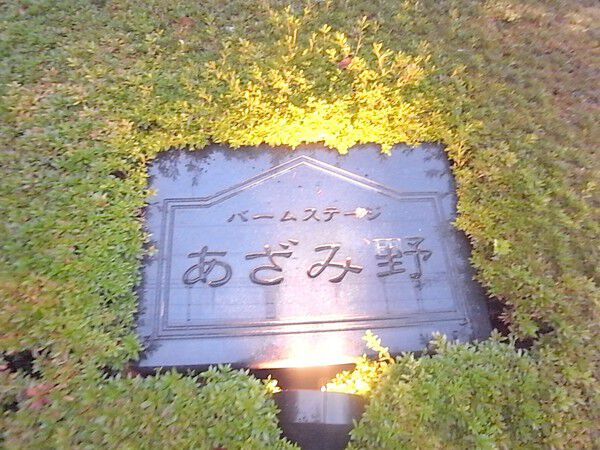 バームステージあざみ野