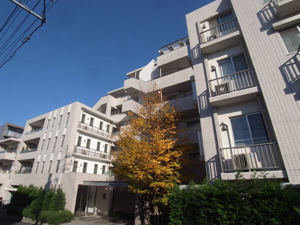 ドレッセ荏田北マリス
