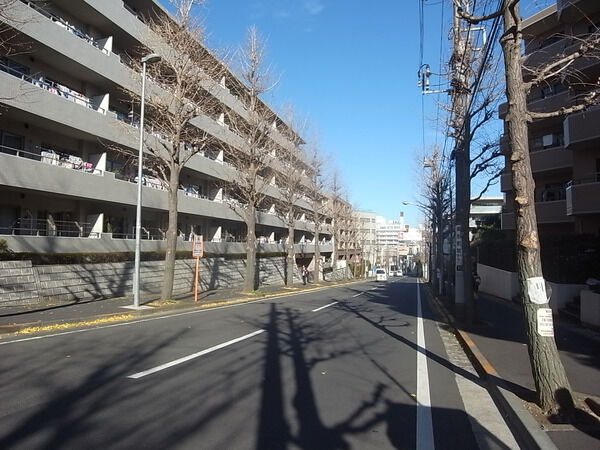 【パークハウス青葉藤が丘ヴェルール】前面道路の環境