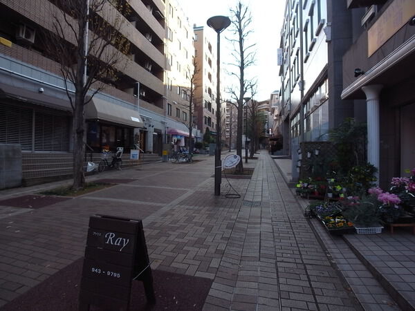 アルス仲町台せせらぎ公園 3枚目 アルス仲町台せせらぎ公園