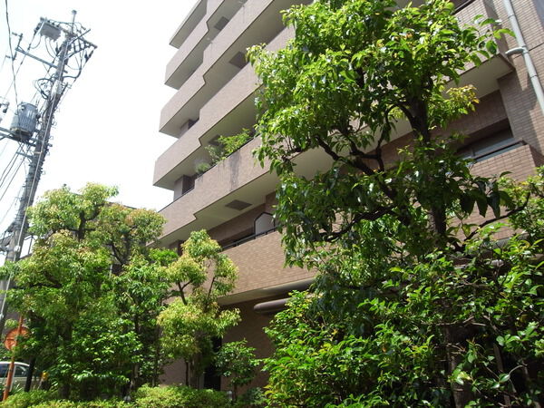 【朝日シティパリオ多摩川】エントランス周辺