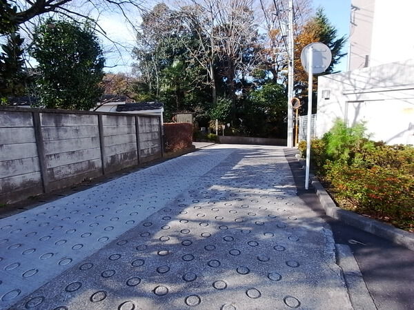 【ライオンズヒルズ向ヶ丘遊園】前面道路