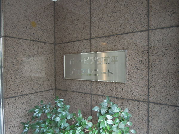 【イトーピア宮前平デュアルコート】入口１