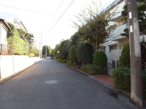 【宮崎台グリーンハイツ】前面道路