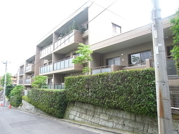 王禅寺ハイム 3枚目 王禅寺ハイム