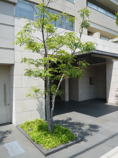 グランドメゾン日和町