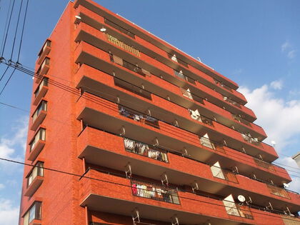 外観1(南側) 外観1(南側)