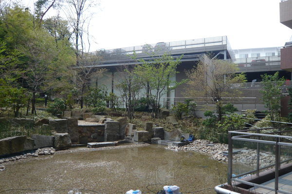 【藤和八事緑ヶ岡ホームズ】アクアガーデン