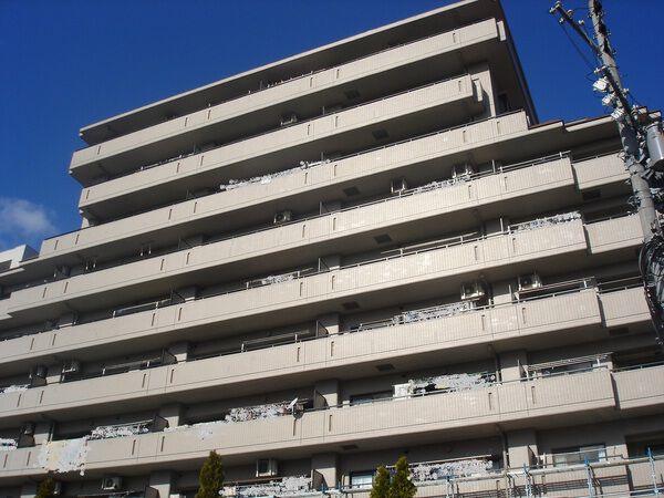 グローリアス豊田梅坪