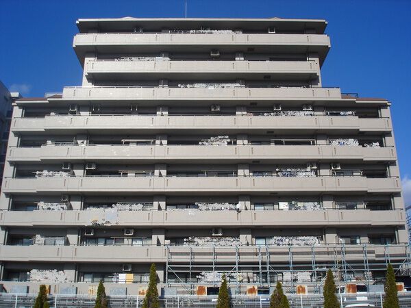 グローリアス豊田梅坪