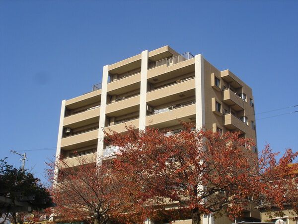 ラヴィル平芝