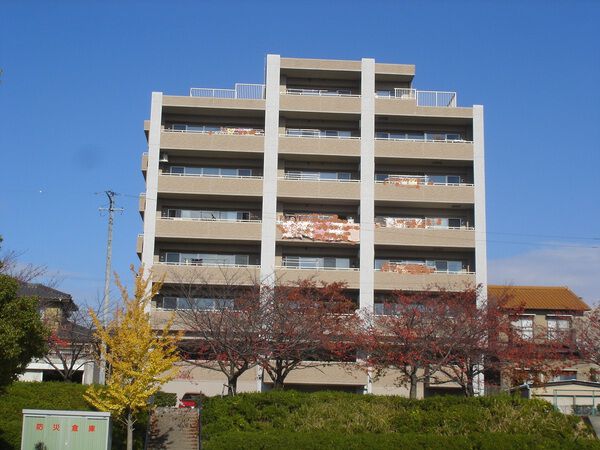 ラヴィル平芝