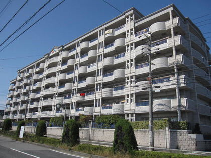 レインボー東郷白鳥