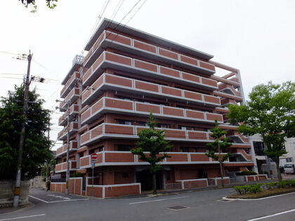 外観写真 外観写真