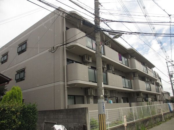 グリーンエクセル柴原