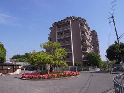 外観 外観