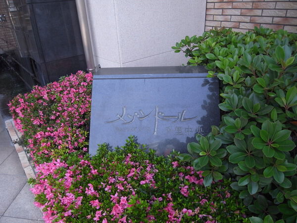 【メゾンドール千里中央】ネームプレート 【メゾンドール千里中央】ネームプレート