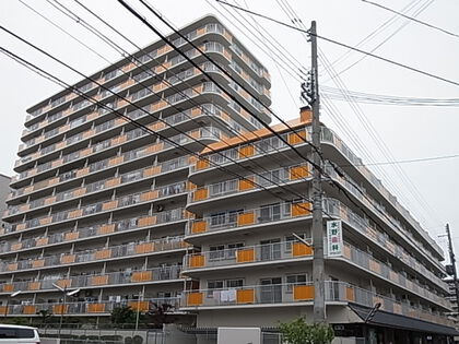 小阪ハイライフ