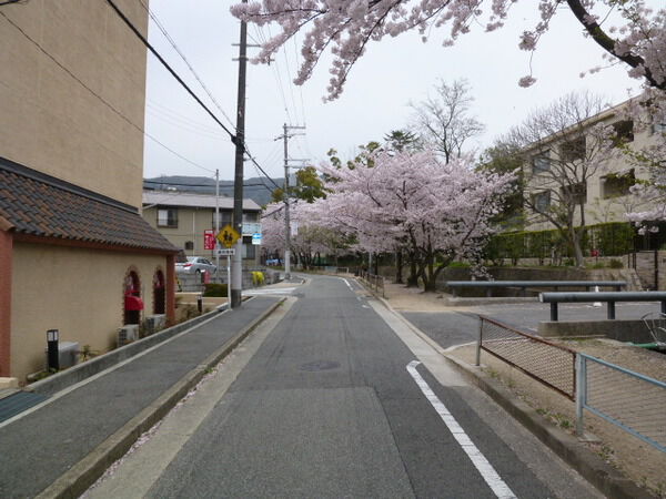 【グランドメゾン苦楽園桜町】前面道路