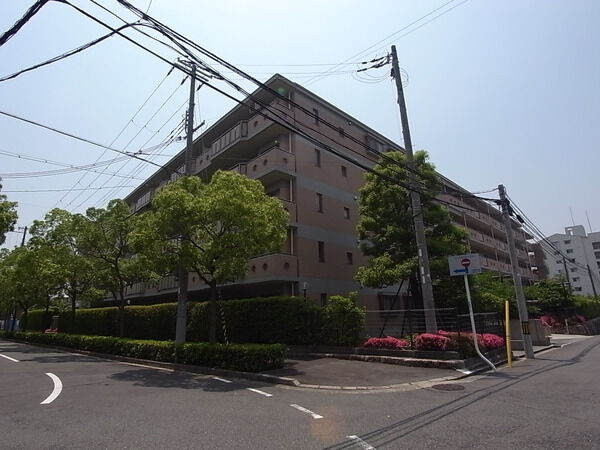 エスペランサ芦屋 3枚目 エスペランサ芦屋