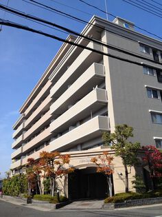 アルファステイツ青江