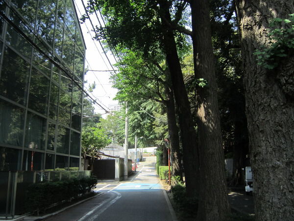 【アイビハイツ三田】前面道路