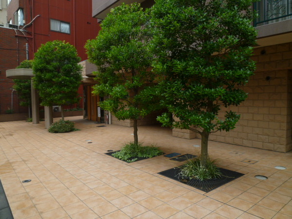 ミオカステーロ文京千駄木 3枚目 ミオカステーロ文京千駄木