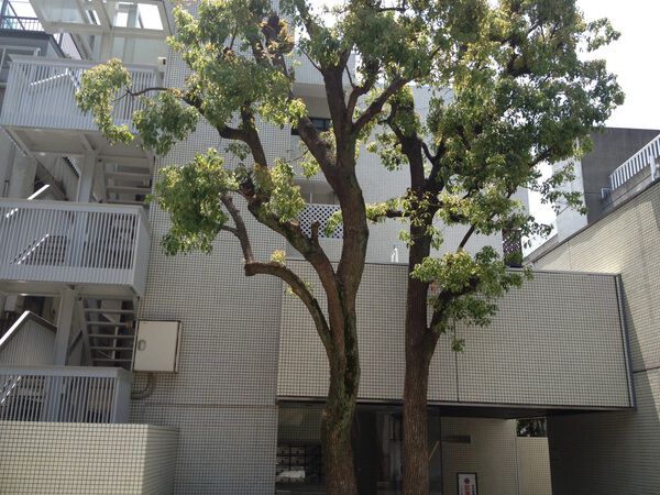 【サンライン南青山ハイツ】外観
