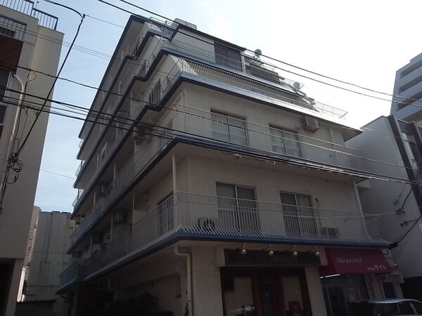 サーラ白金 2枚目 サーラ白金