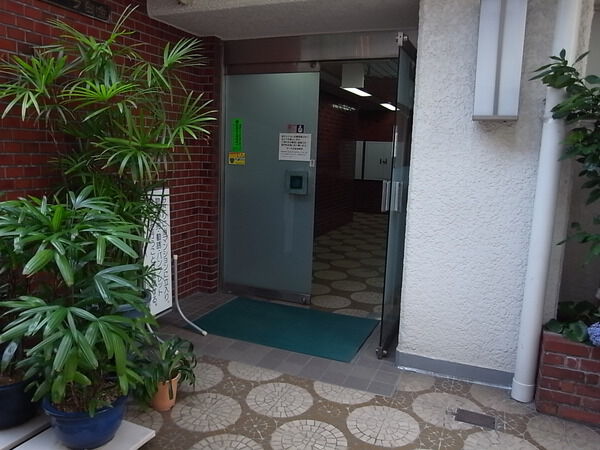 サーラ白金 3枚目 サーラ白金