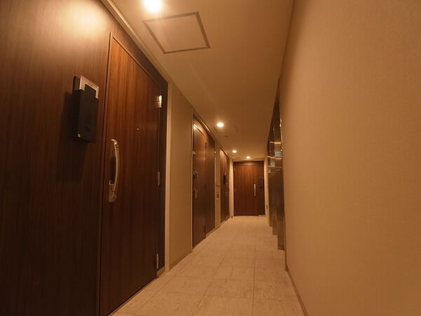 パークリュクス白金monoグレージュ 2枚目 パークリュクス白金monoグレージュ