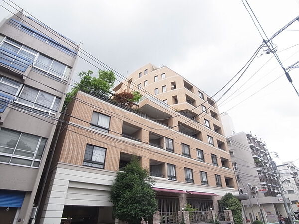 フォリア白金 2枚目 フォリア白金