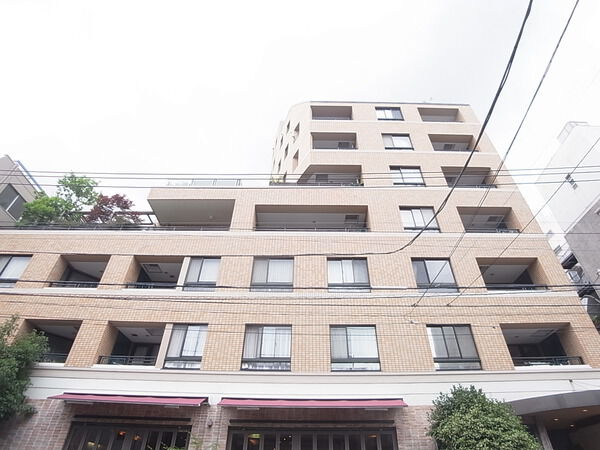 フォリア白金 3枚目 フォリア白金