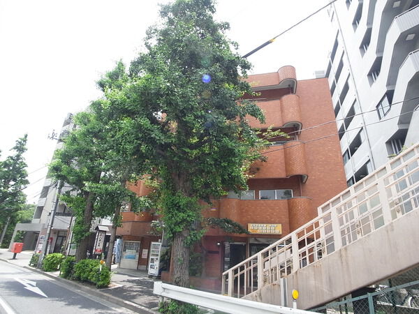 善福寺ゴールデンハイツ 2枚目 善福寺ゴールデンハイツ