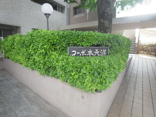 コーポ本天沼