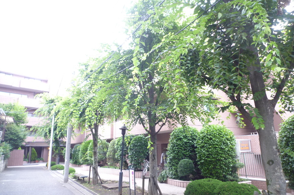 【サーパス南烏山】外観写真 【サーパス南烏山】外観写真